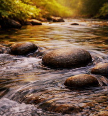 calm stream with rocks used as featured image for Thriving with Chronic Illness workshop